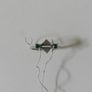 Jewellery Image 3