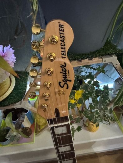 guitar Squier tele 40th anniversary gold, black