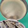 Antique Silver Late 1800s Swiss Made Pocket watch Working Image 10