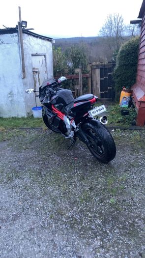 2019 Lexmoto lxr 125