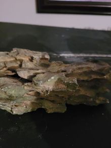 marine rocks