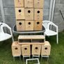 bird breeding boxes Image 3