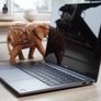 Huawei Matebook D14 14" Laptop | Ryzen 5 4600H | 8GB | 256GB SSD Image 8