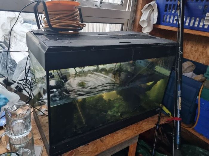 150litre fish tank