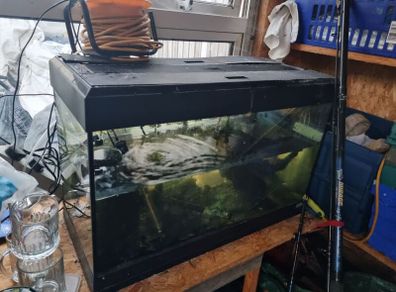150litre fish tank