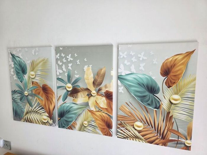 3 framed printed canvas 35x55cm
