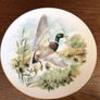 China decorative Mallard Duck Picture plate Image 2