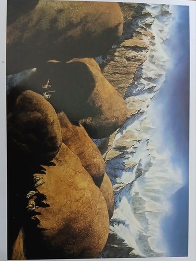 Very Rare Tolkien's Glory Lord of the Rings Postcards