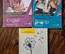 TY books