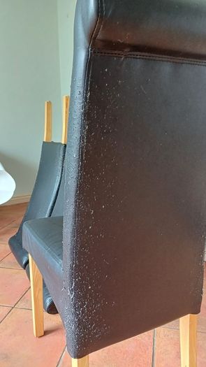 chair