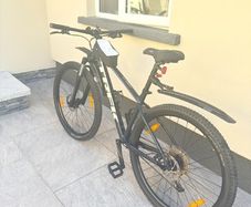 TREK Mountain bike