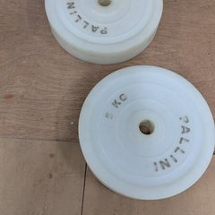 5kg Pallini Bumper Plates