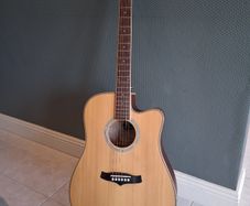 Tanglewood Guitar