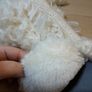 Next slipper socks Image 5