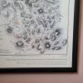 Vintage framed Dublin & Wicklow Map Image 3