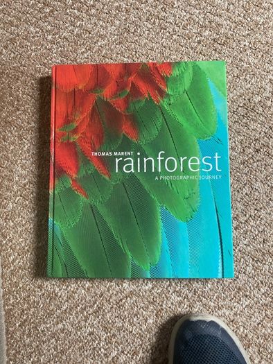 Rainforest book