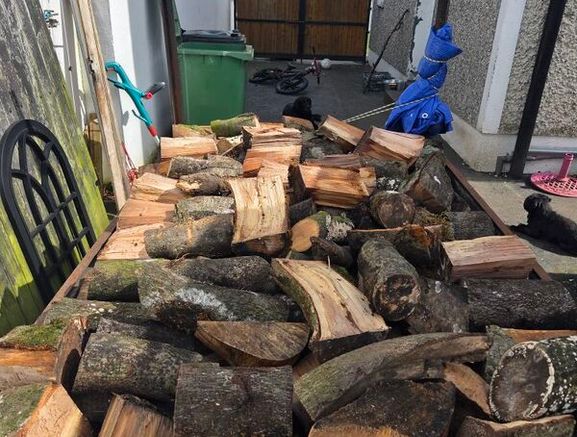 Beech firewood