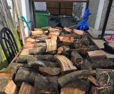 Beech firewood