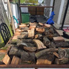 Beech firewood