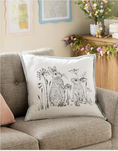 NEXT Cushion