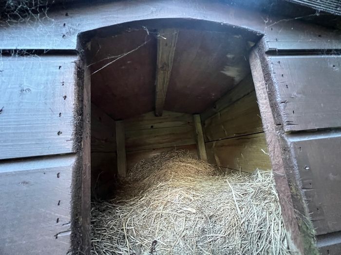 dog kennel