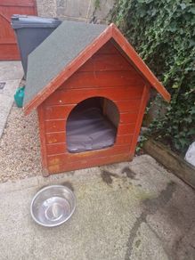 dog box kennel