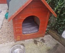 dog box kennel