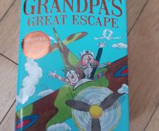 David Walliams x 1 book