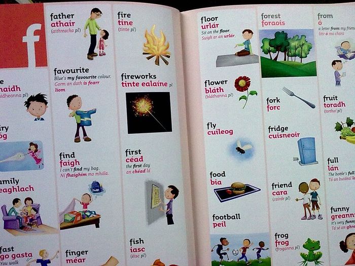 Collins very first Irish Dictionary Ireland Irish language Gaeilge