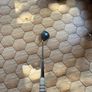 Cobra F8 Driver Image 2