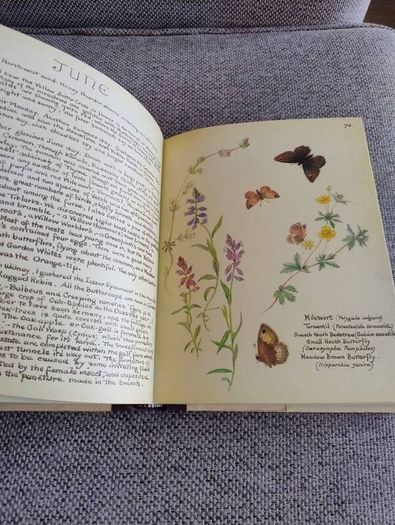 The Country Diary of an Edwardian Lady 1979 by Edith Holden in very good condition with some wear to the dustcover see photos FREE STANDARD POSTAGE INCLUDED