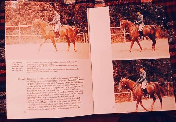 1979. Dressage Explained.