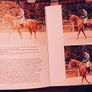 1979. Dressage Explained. Image 4