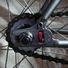 fixie junkie