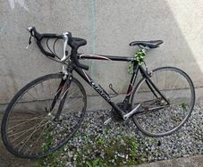 bikes