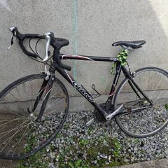 bikes