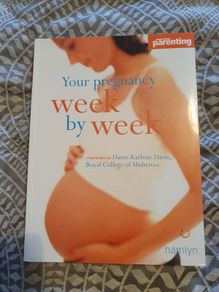 Pregnancy Book