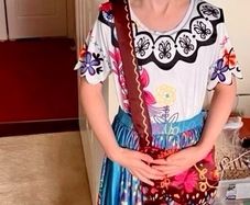 Disney's Encanto full costume