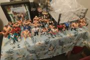 Wwf