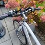 Pendleton Darby Womens Bike Image 3