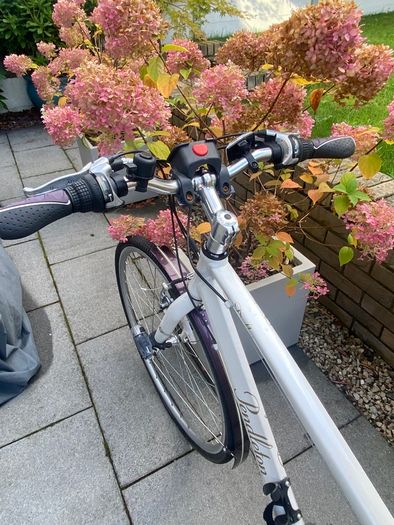 Pendleton Darby Womens Bike