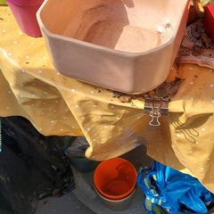 Free plant pot