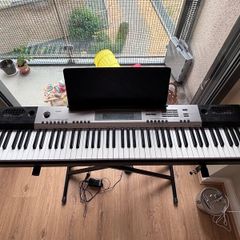 Casio fully weighted 88 keys digital piano
