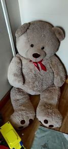 Big teddy bear