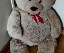 Big teddy bear