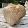 Whale vertebrae Image 4