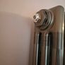 Exposed Metal vertical Radiator Image 2