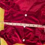 Red Velour Dog Dress Image 4