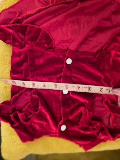 Red Velour Dog Dress