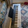 Alesis Large Keyboard Image 2